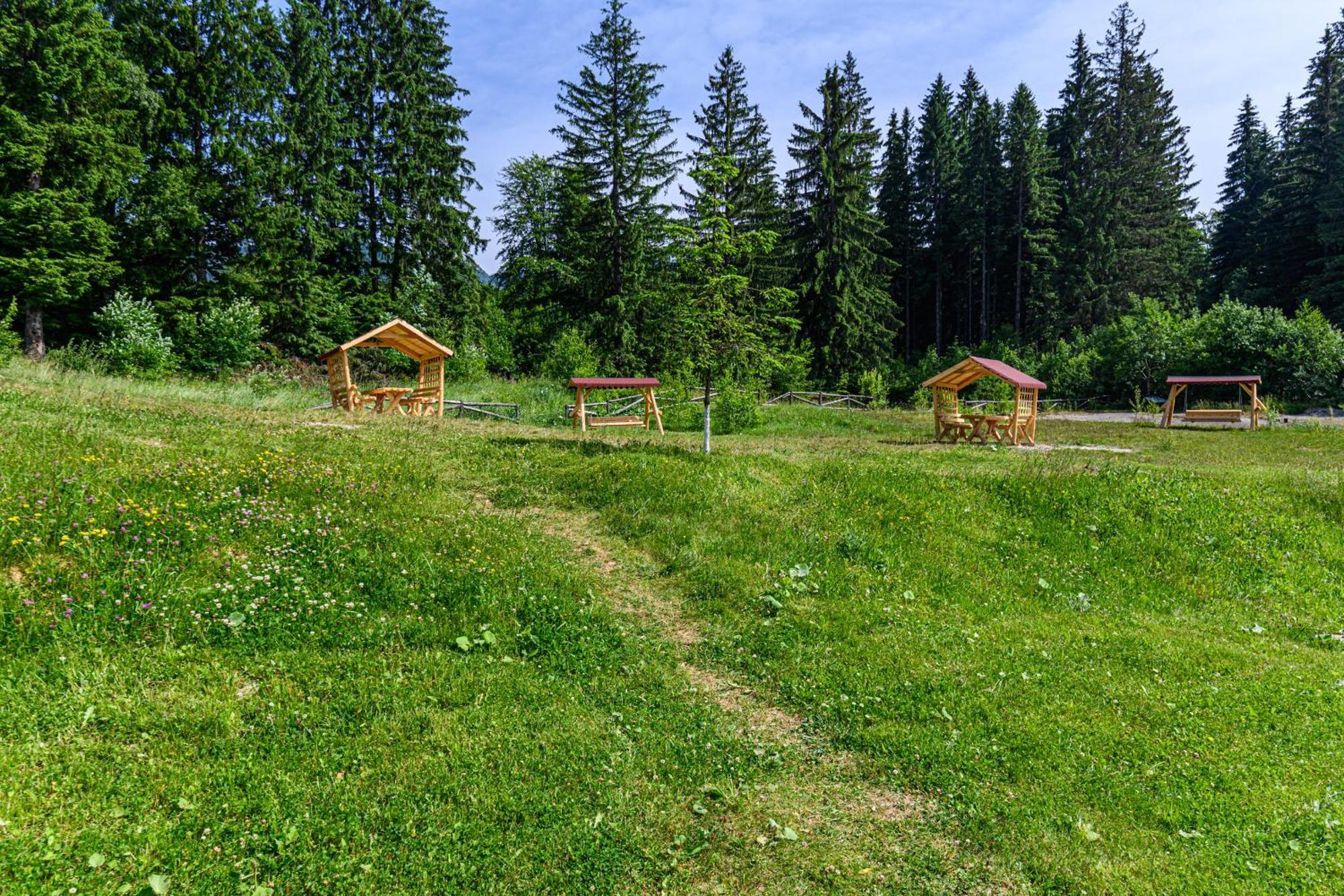 Apartment "Mountain Relax" Poiana Brasov Ngoại thất bức ảnh
